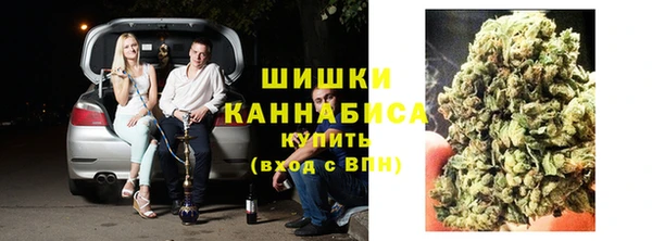 сатива Строитель
