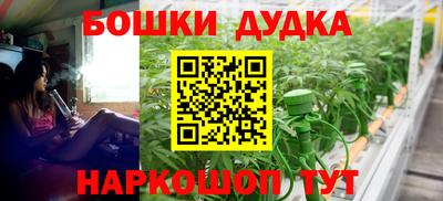 прущие грибы Дубна