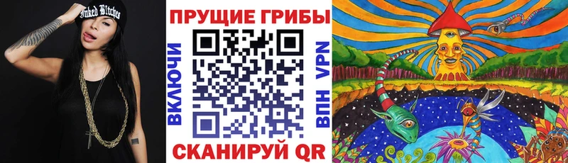 купить  сайты  Сибай  Галлюциногенные грибы Cubensis 